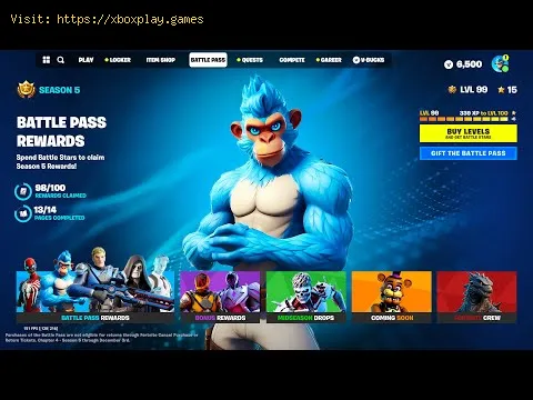 Video preview