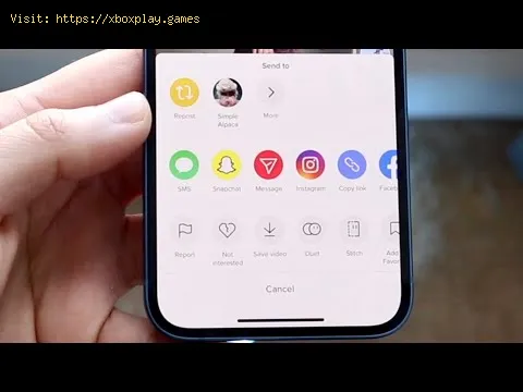 Video preview