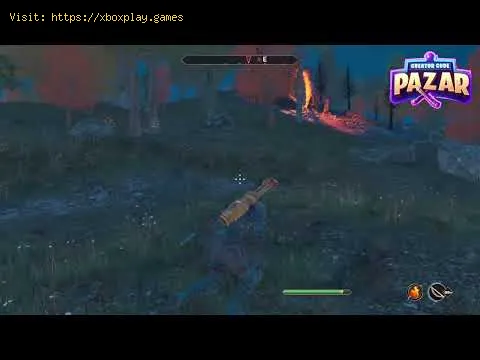 Video preview