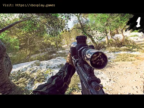 Video preview