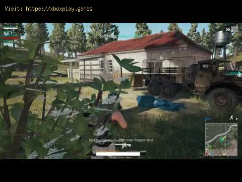 Video preview