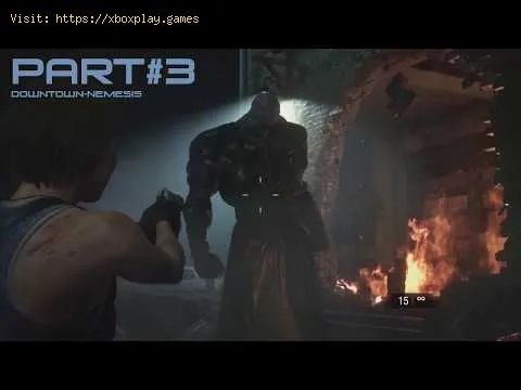 Video preview