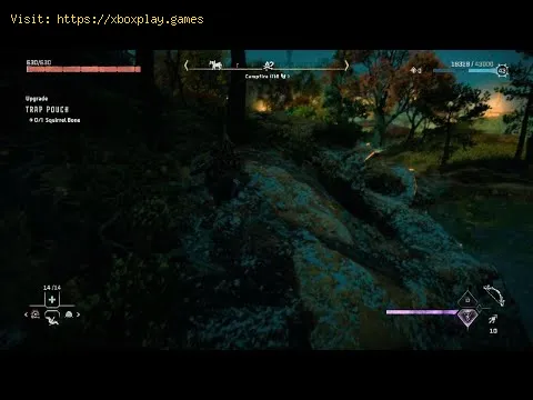Video preview