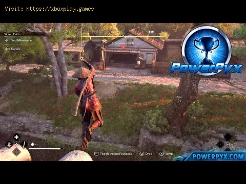 Video preview