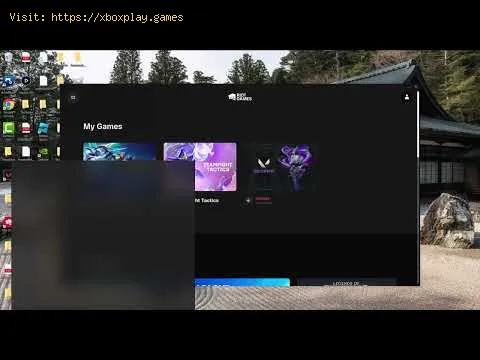 Video preview