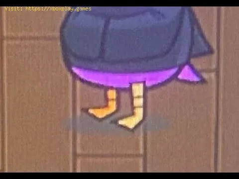 Video preview