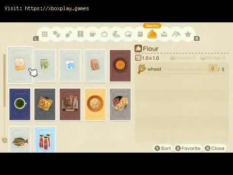 Video preview