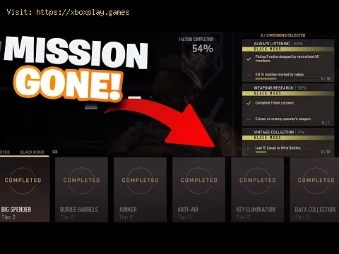 Video preview