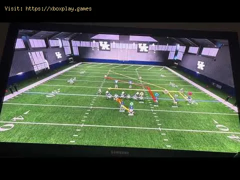 Video preview