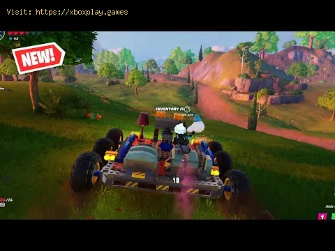 Video preview