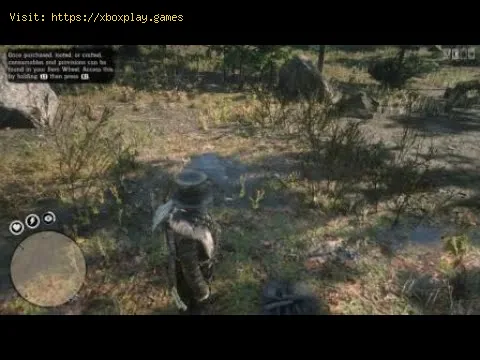 Video preview