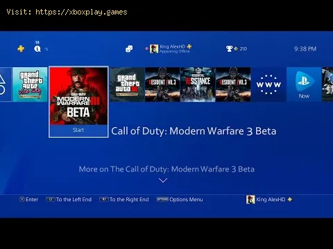 Video preview