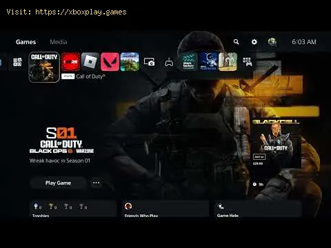 Video preview