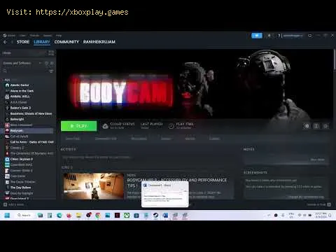 Video preview