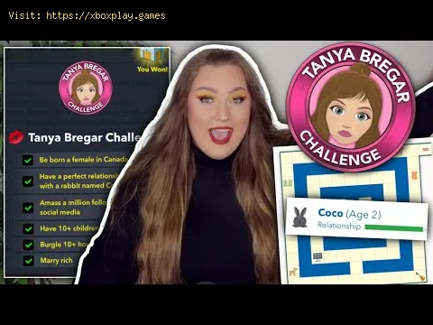 Video preview