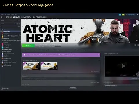 Video preview