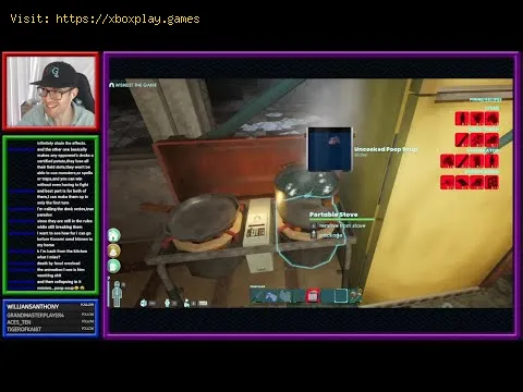 Video preview