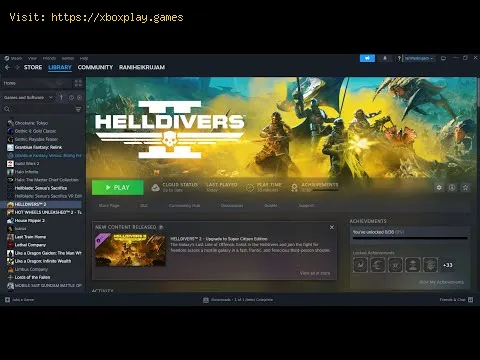 Video preview