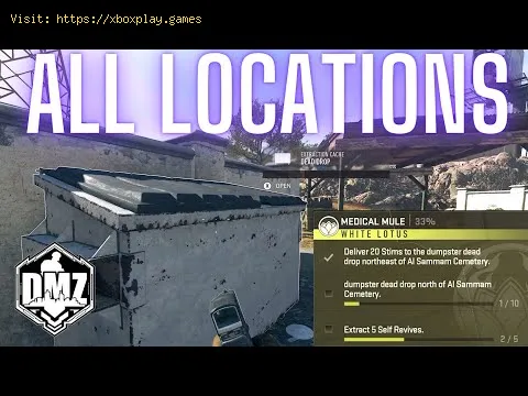 Video preview