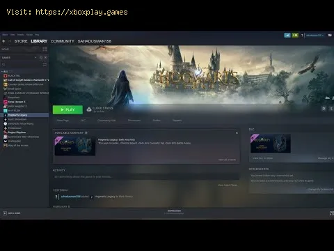 Video preview