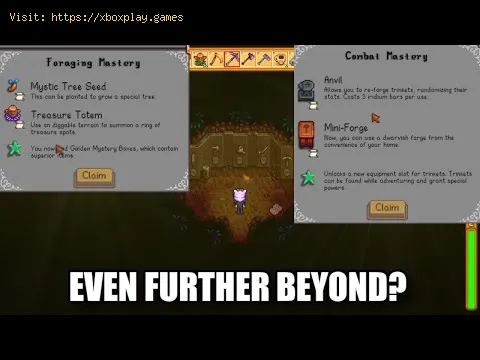 Video preview