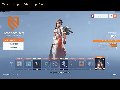 Video preview