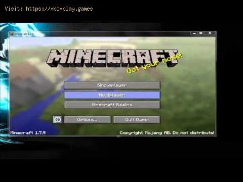 Video preview