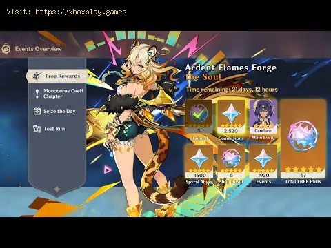Video preview
