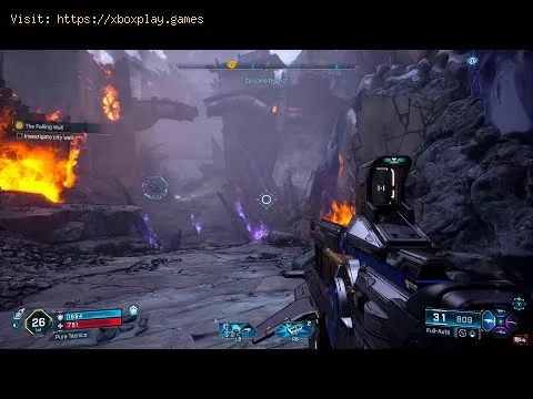 Video preview