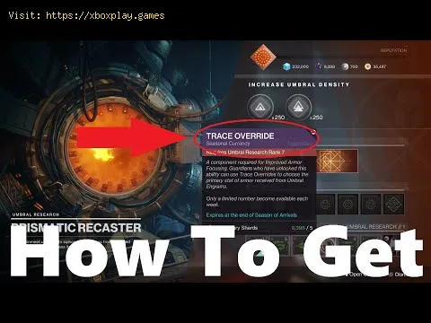 Video preview
