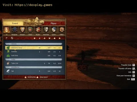 Video preview