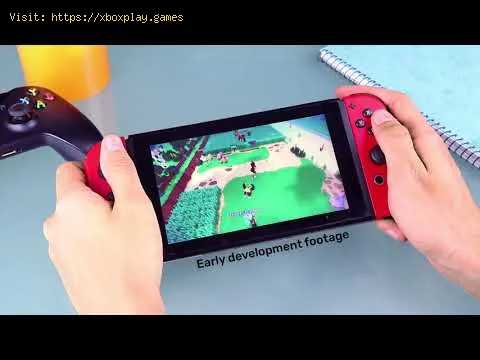 Video preview