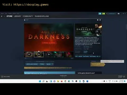 Video preview