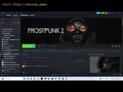 Video preview