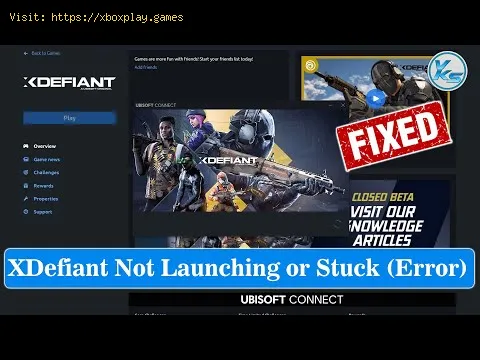 Video preview
