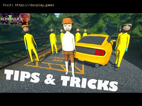 Video preview