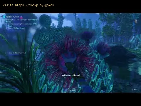 Video preview