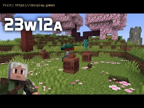 Video preview