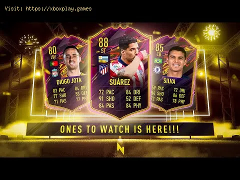 Video preview