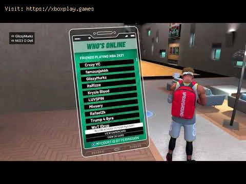 Video preview