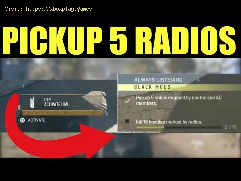 Video preview