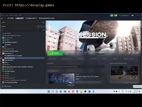 Video preview