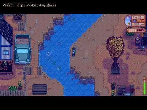 Video preview