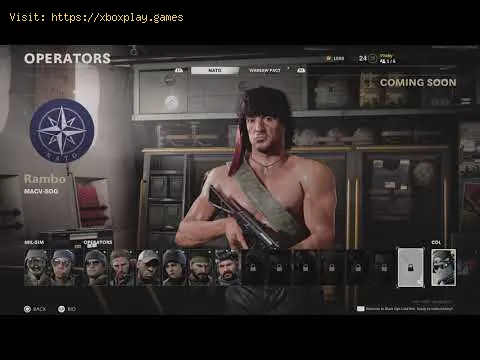 Video preview