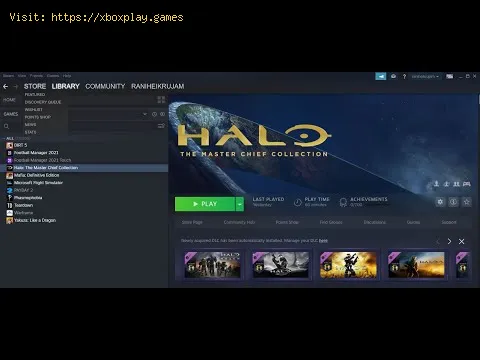 Video preview