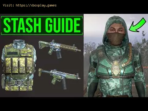 Video preview