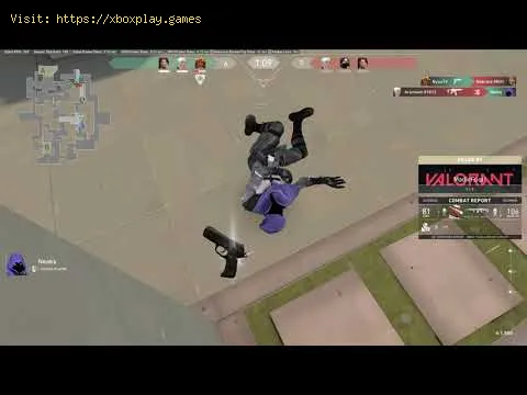 Video preview