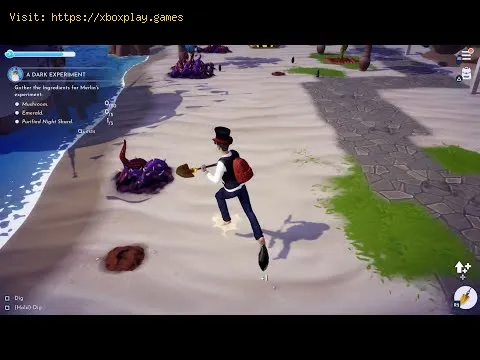 Video preview