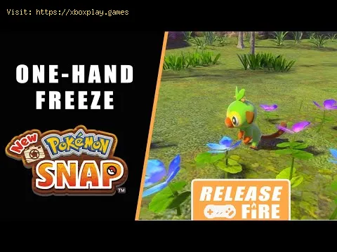Video preview