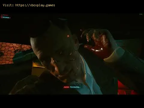 Video preview